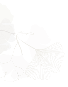 shape 1