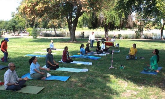 Participants enjoying an inclusive community yoga class designed to promote wellness and connection
