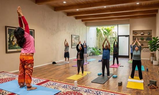 Participants practicing yoga poses together in a group wellness session in the Bay Area