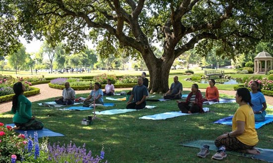 Tailored holistic wellness plan consultation focusing on mind-body balance, lifestyle goals, and natural healing
